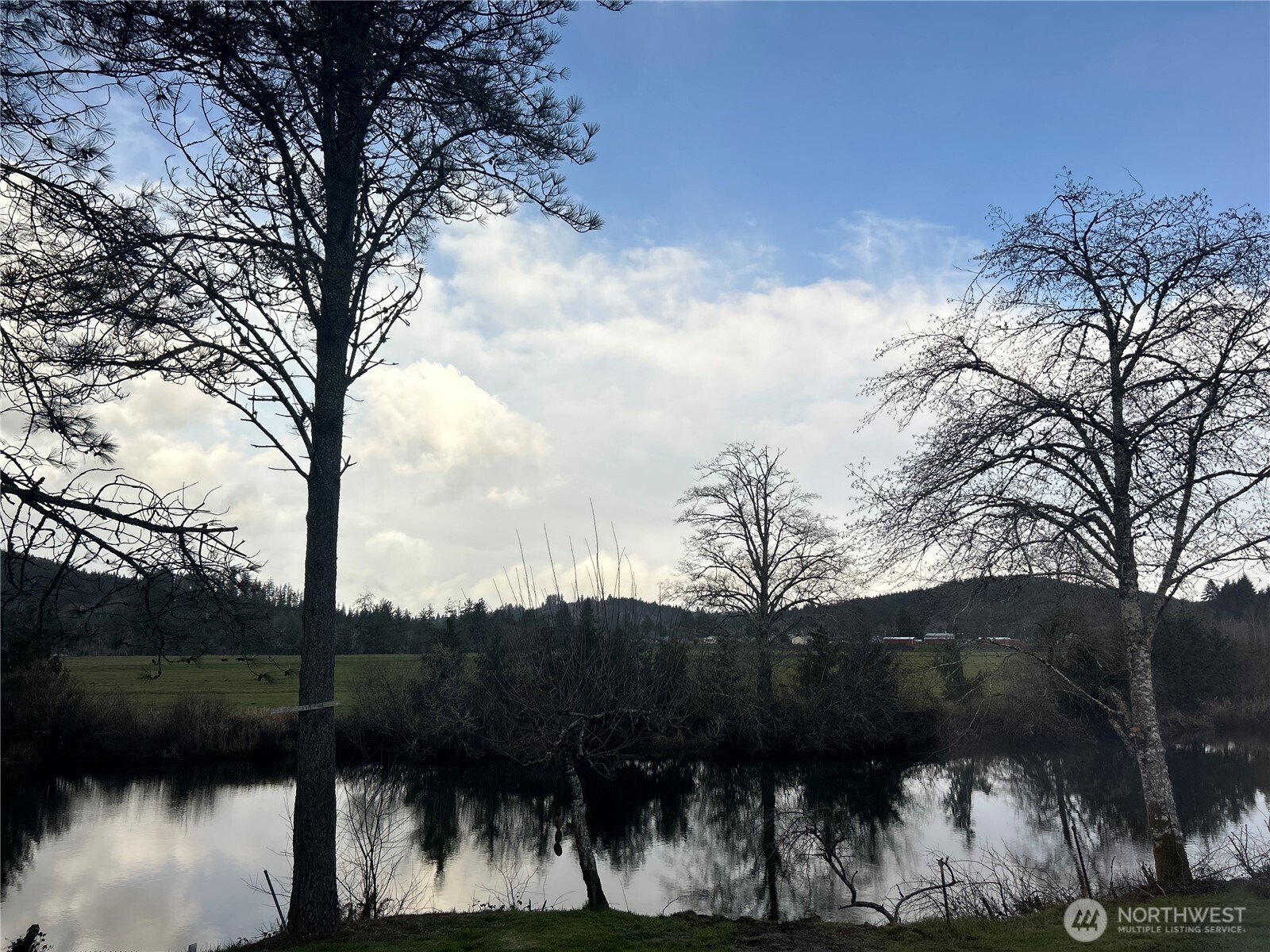 1331 Dolan Street Raymond, WA 98577 - Photo 32 of 32 a view of a back yard