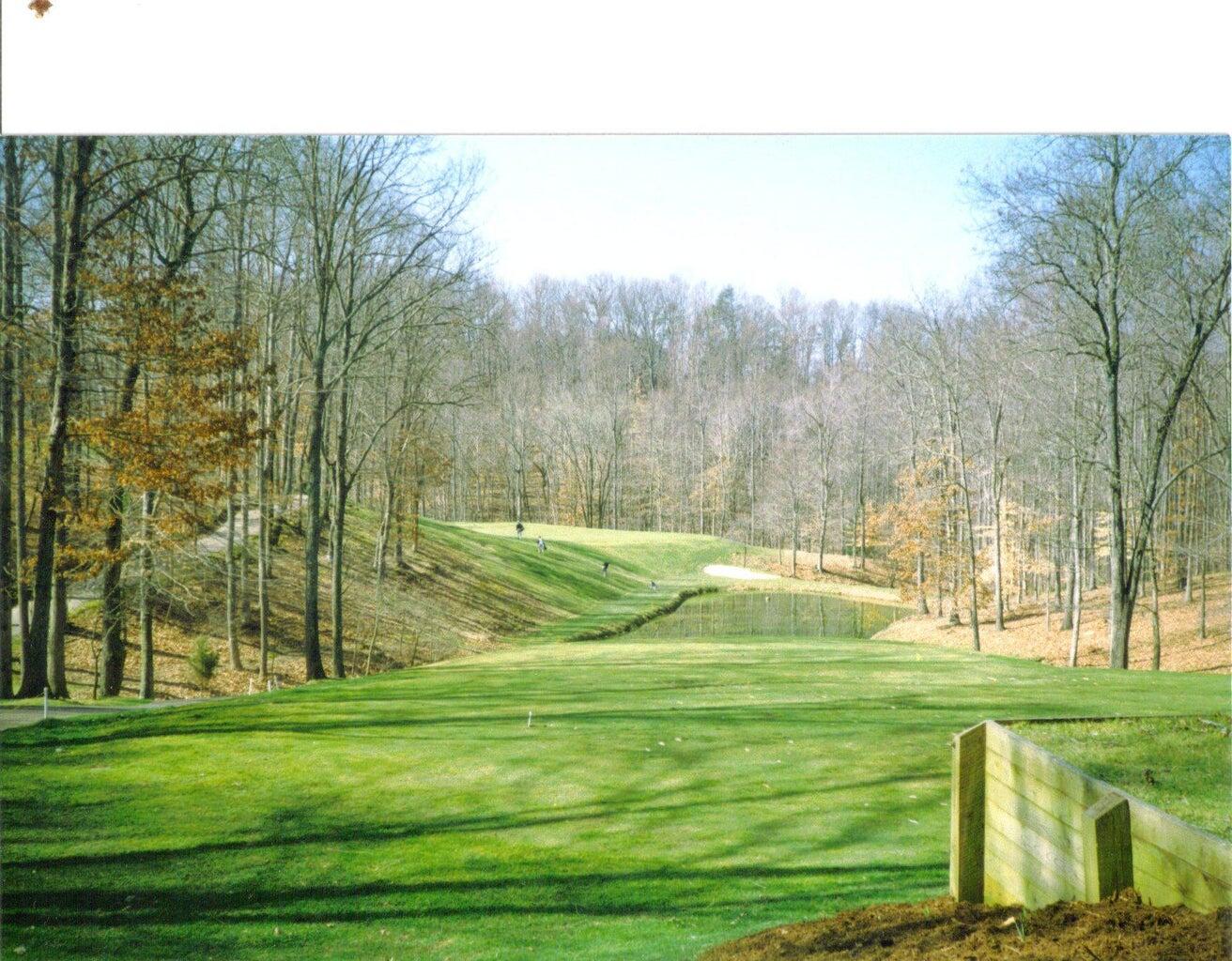 835 Gangplank Road, Unit 113 Moneta, VA 24121 - Photo 105 of 108 #8 Green par 3