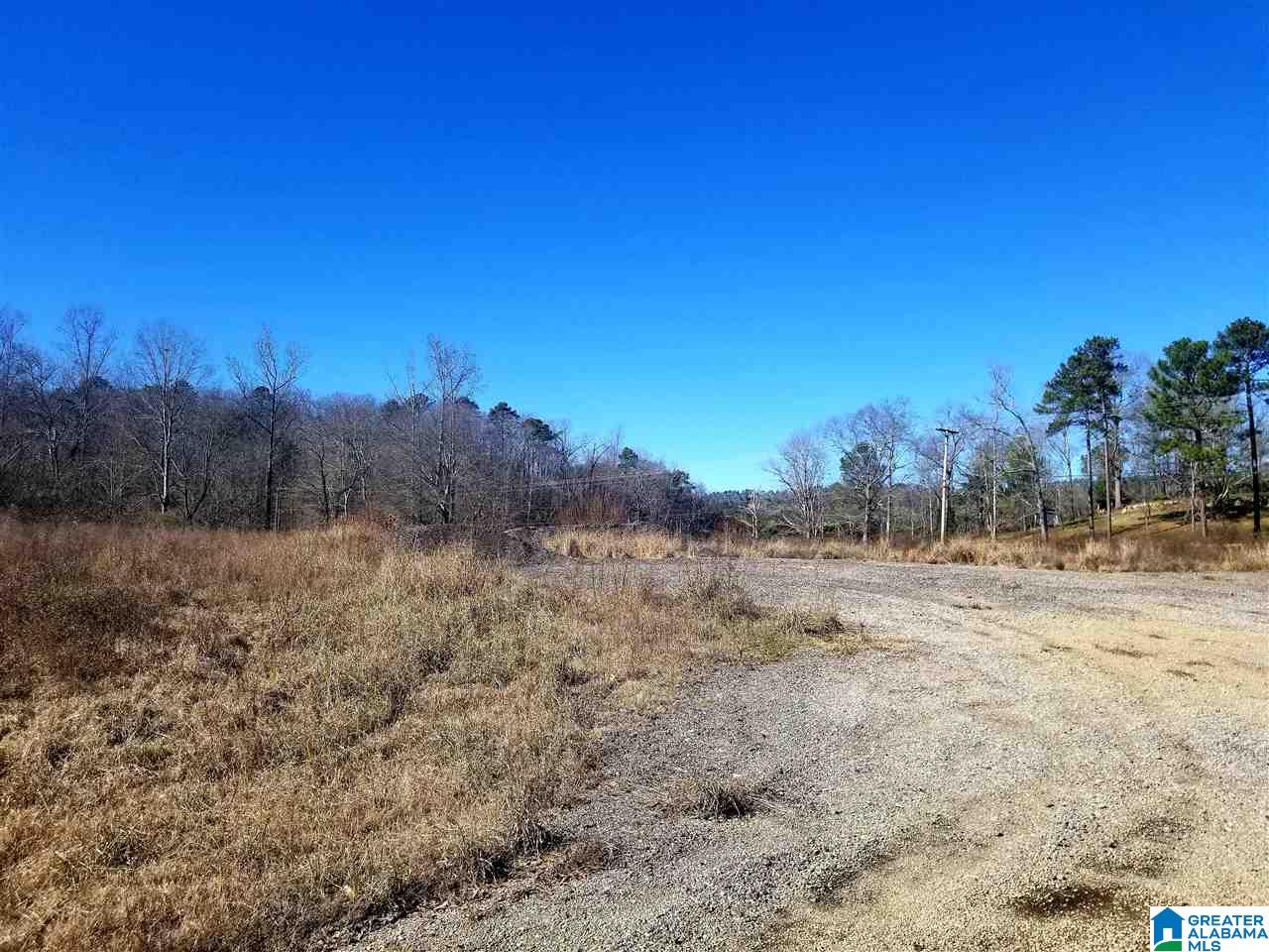 11640 Bear Creek Road Vandiver, AL 35176 - Photo 10 of 10