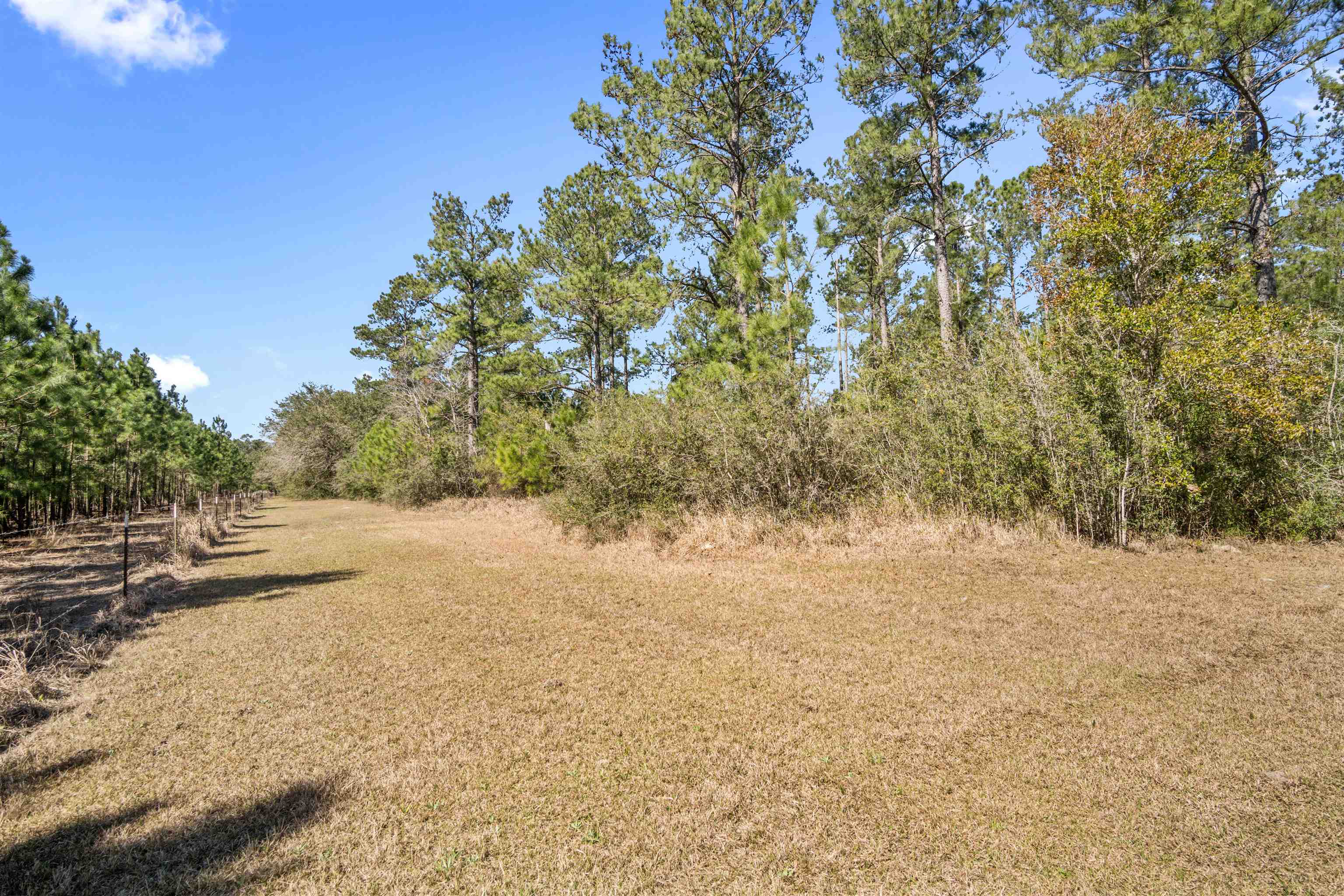 29476 C P Adams Lane Elberta, AL 36530 - Photo 9 of 45