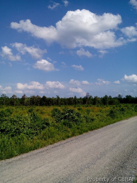 614 Poplar Grove Road Center Cross, VA 22437 - Photo 10 of 19