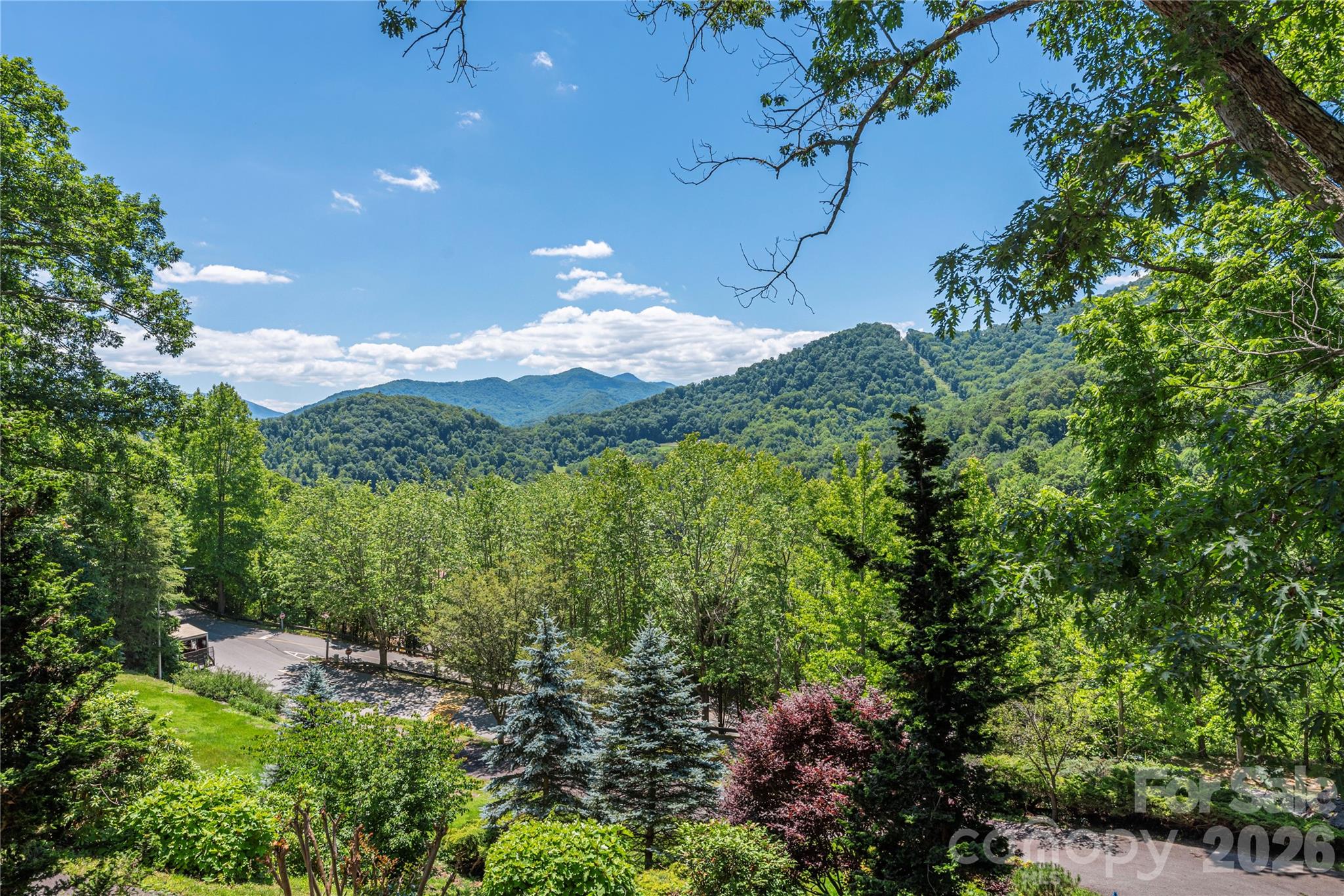 554 Breckenridge Road Waynesville, NC 28785 - Photo 4 of 45