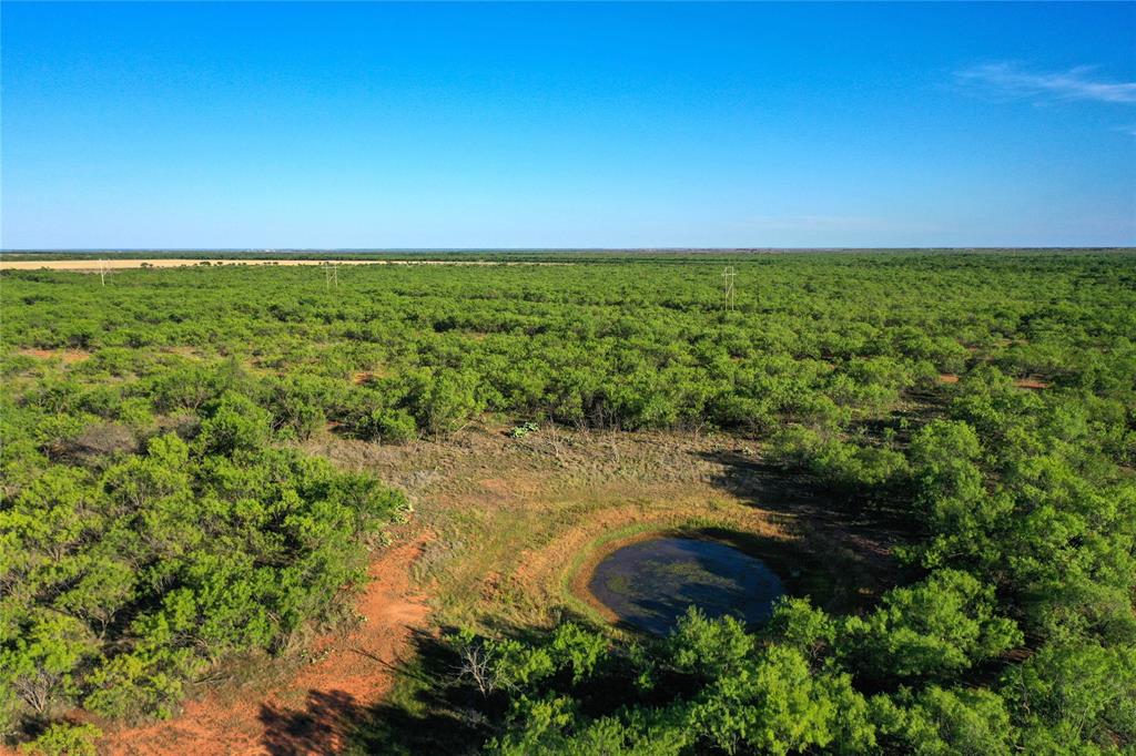 Tbd Kimbrough Road Haskell, TX 79521 - Photo 12 of 21