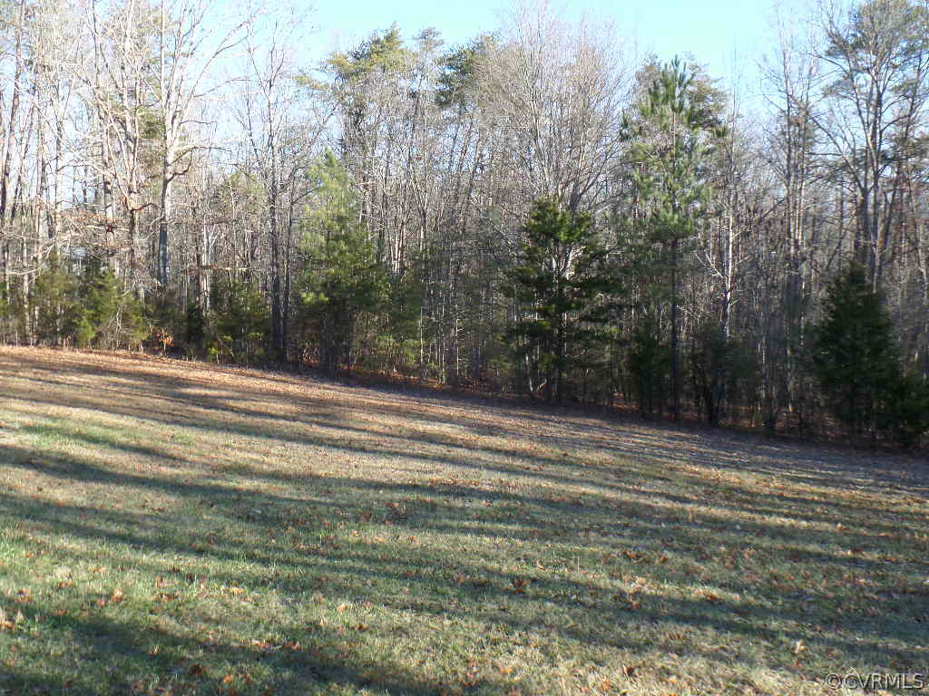 4432 Riddles Bridge Road Goochland, VA 23063 - Photo 18 of 23 Gallery Image 18