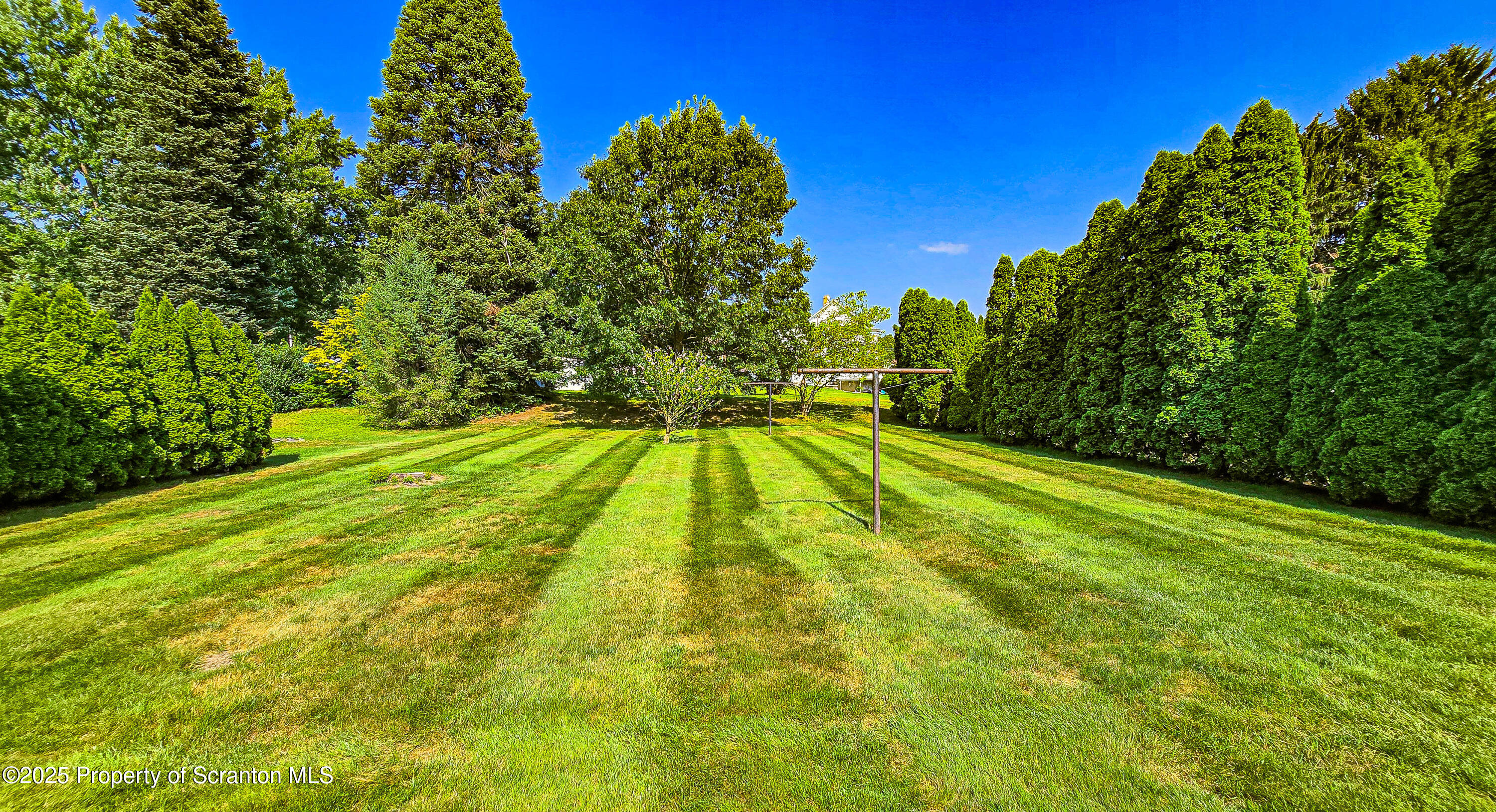 205 Carter Street Old Forge, PA 18518 - Photo 24 of 25 a view of yard with swimming pool