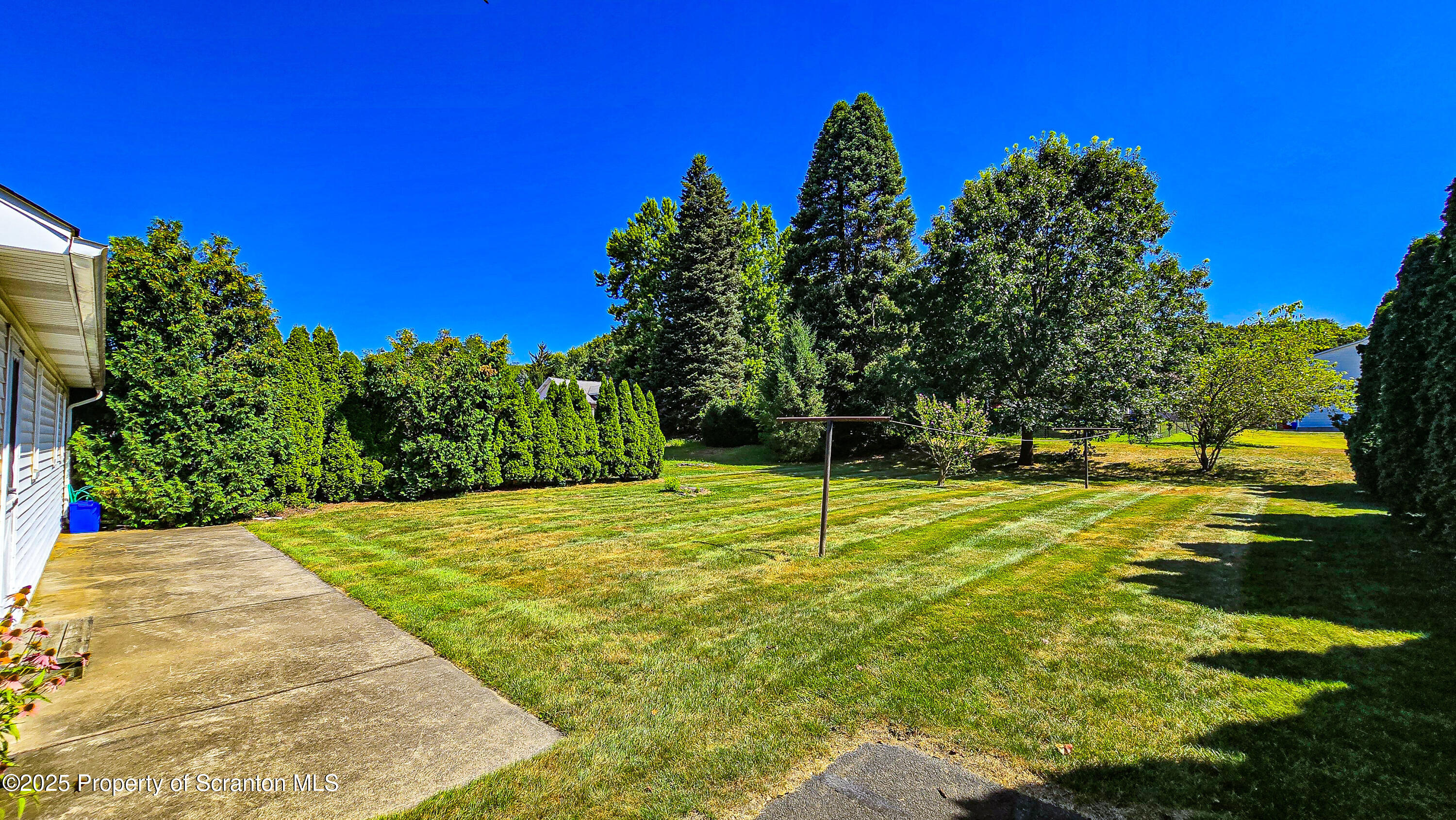 205 Carter Street Old Forge, PA 18518 - Photo 4 of 25 a view of a backyard