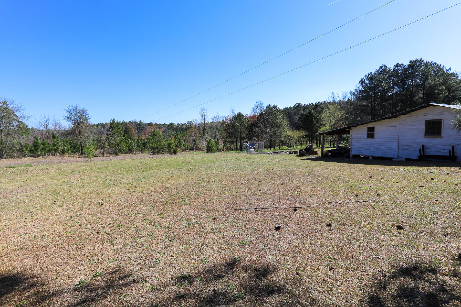 205 Stag Road Springfield, GA 31329 - Photo 49 of 57 back yard1