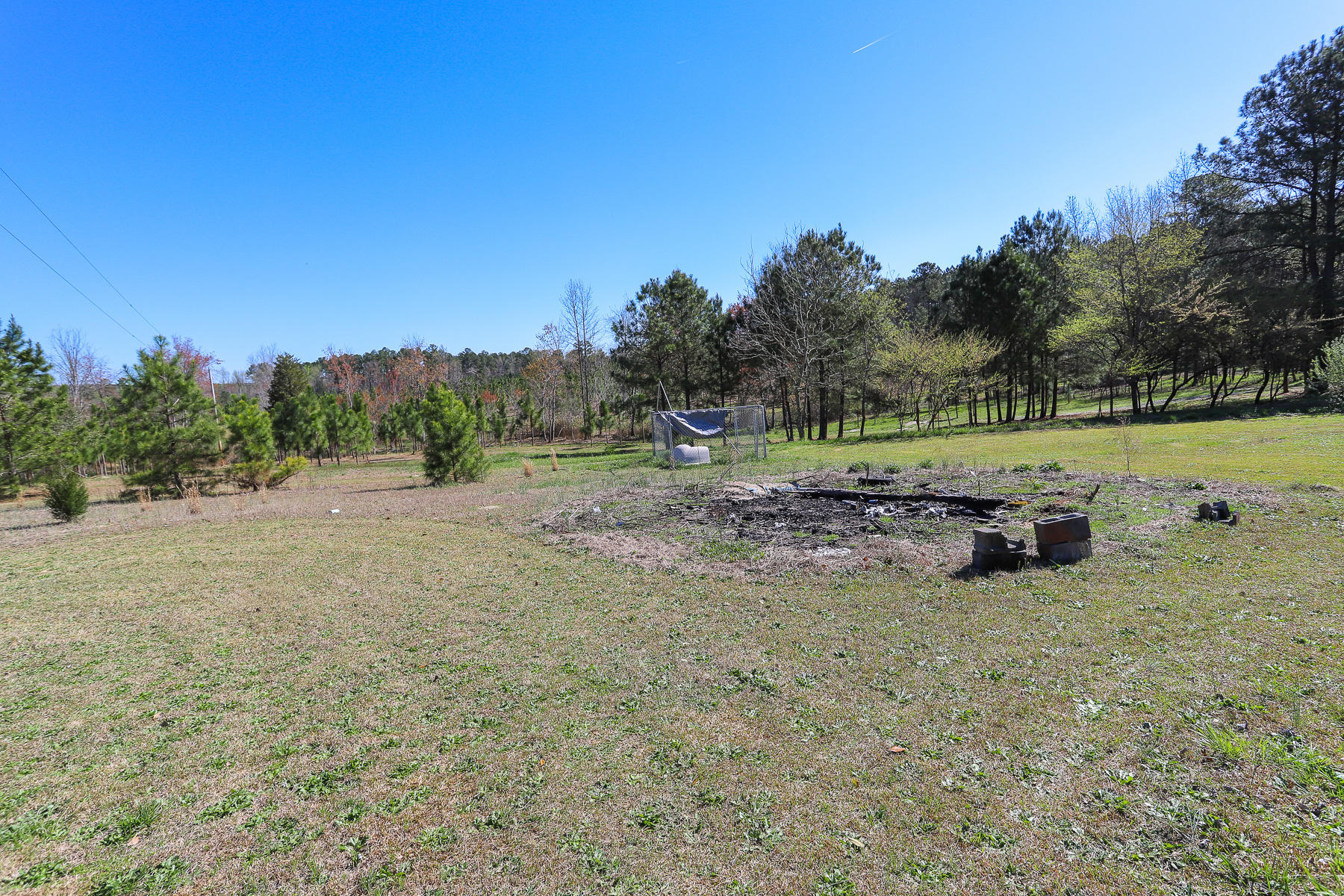 205 Stag Road Springfield, GA 31329 - Photo 50 of 57 back yard2