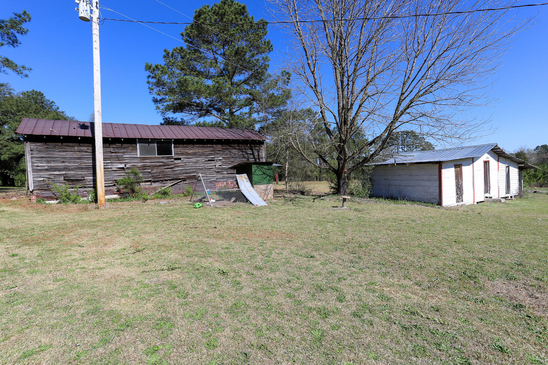 205 Stag Road Springfield, GA 31329 - Photo 51 of 57 back yard3