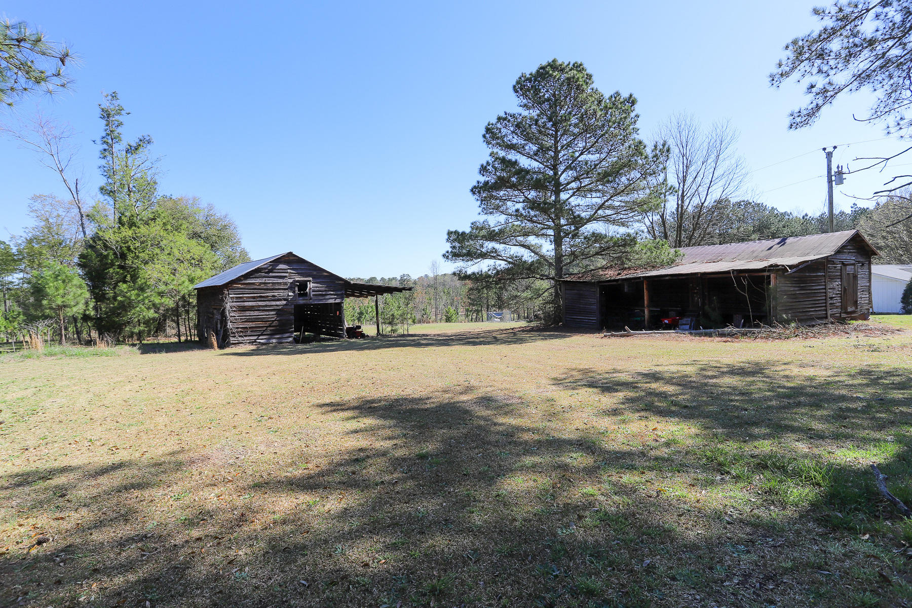 205 Stag Road Springfield, GA 31329 - Photo 53 of 57 land2