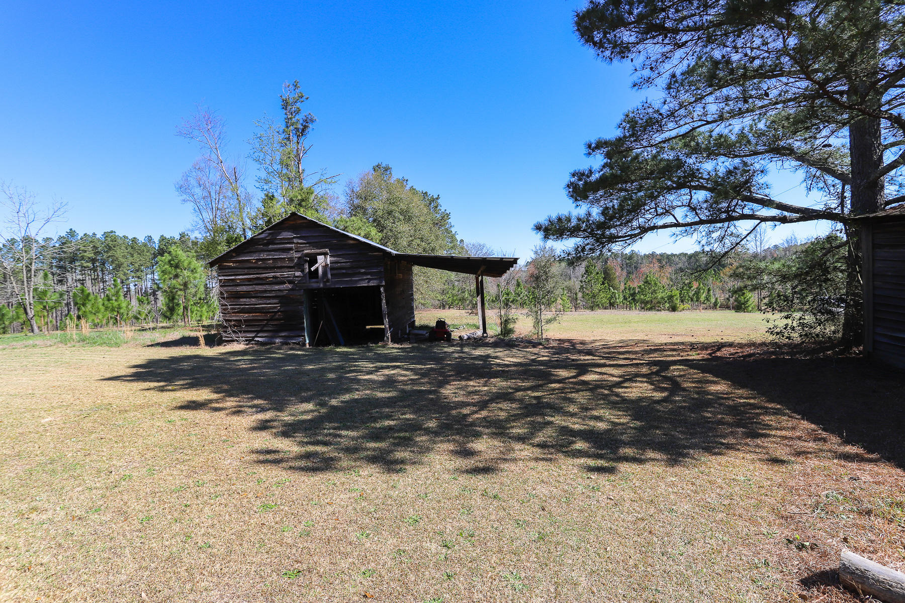 205 Stag Road Springfield, GA 31329 - Photo 54 of 57 land-barn2