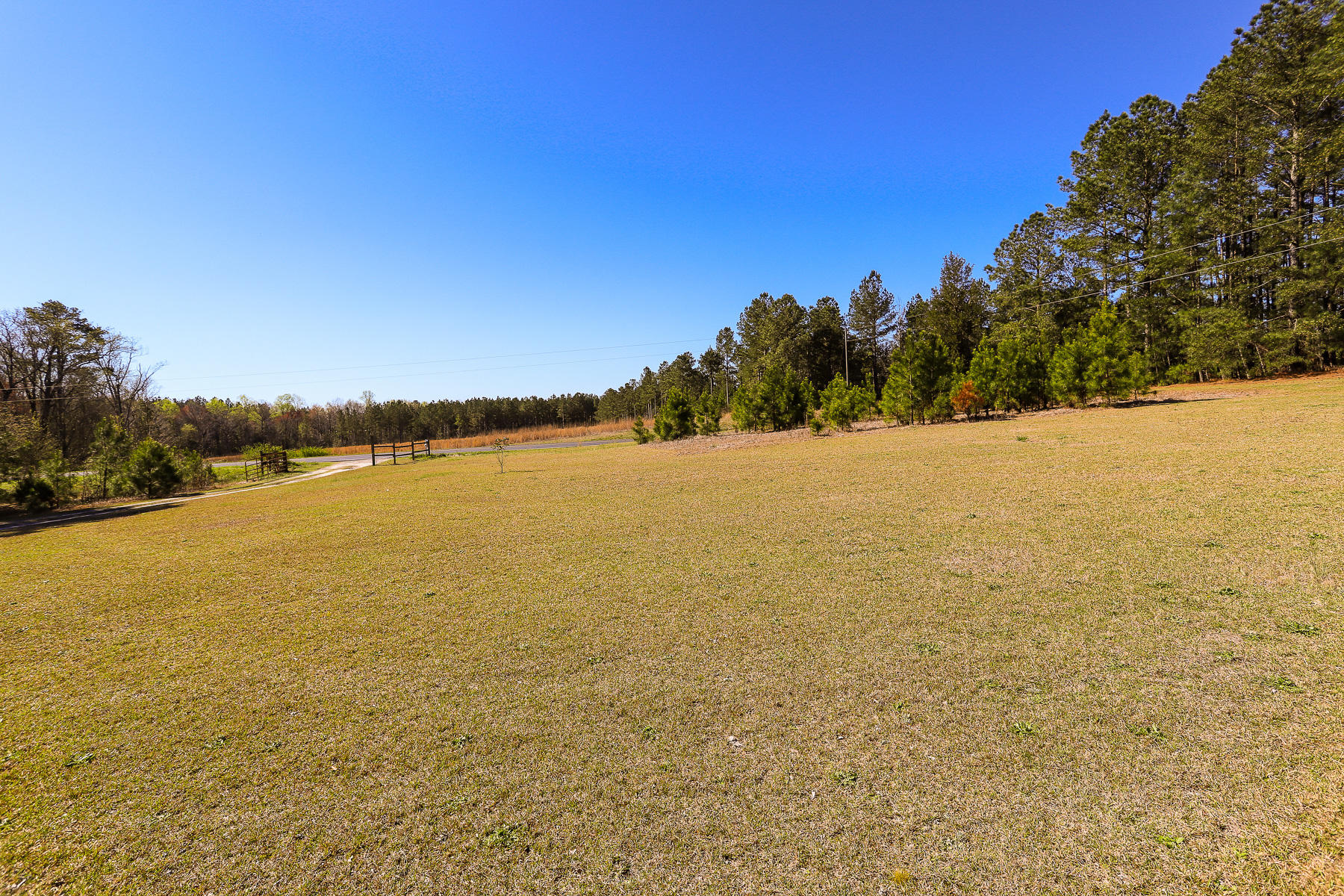 205 Stag Road Springfield, GA 31329 - Photo 7 of 57 front yard1