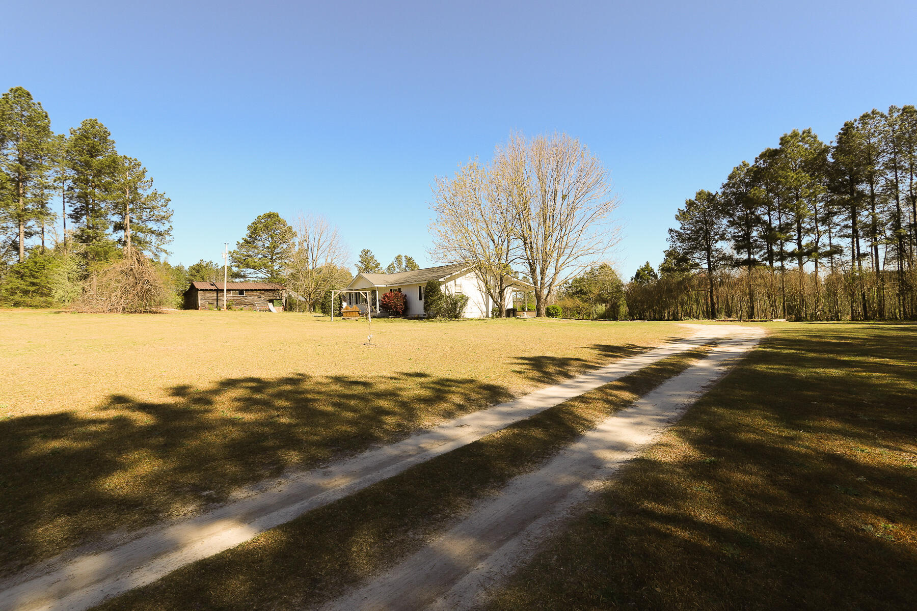 205 Stag Road Springfield, GA 31329 - Photo 8 of 57 front yard5