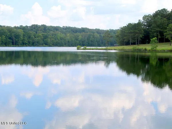 $489,500 | Chestnut Hill Road, Madison, MS 39110