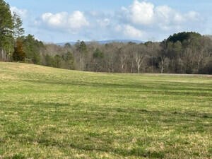 21 Athens Road Calhoun, TN 37309 - Photo 26 of 30 Gallery Image 26