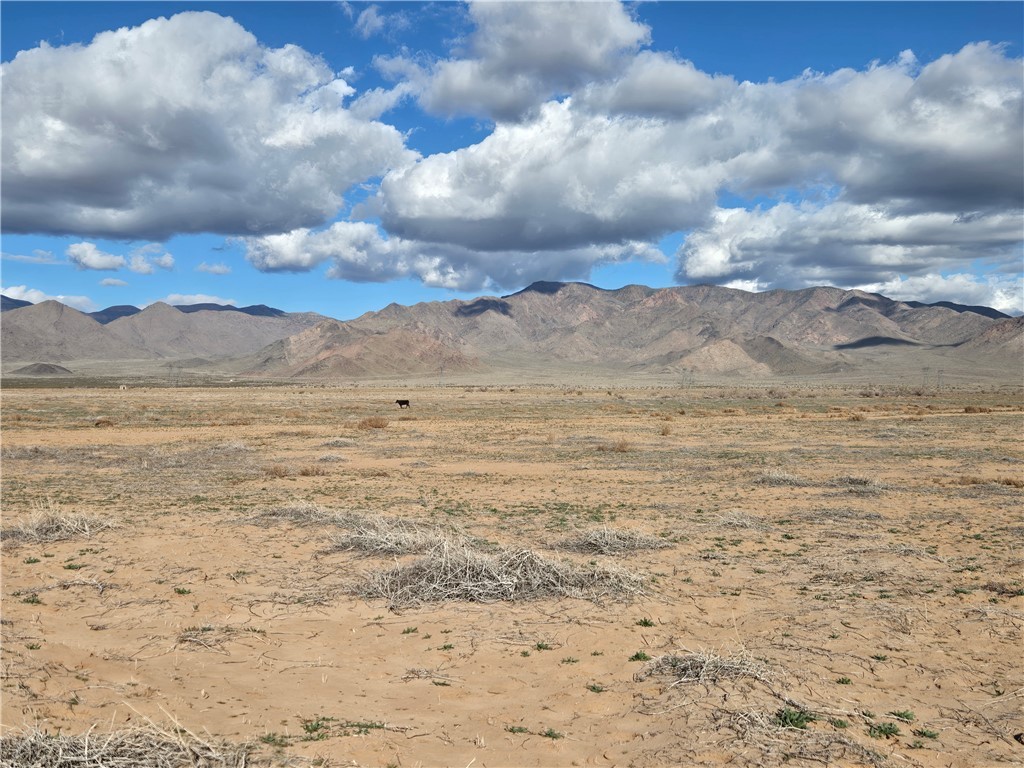 0 North Mormon Flat Road Golden Valley, AZ 86413 - Photo 3 of 3 View of mountain backdrop