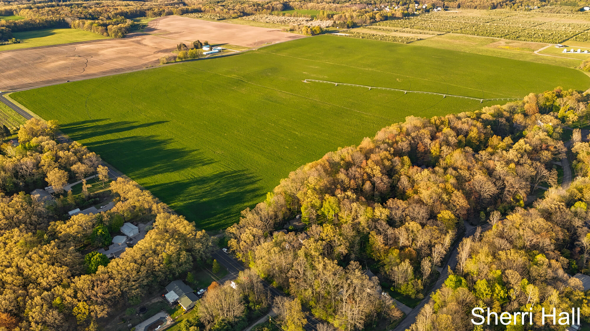 7861 West County Line Road Greenville, MI 48838 - Photo 36 of 41 Aerial