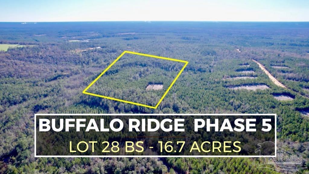 Lot 28-bs Buffalo Ridge Road Milton, FL 32571 - Photo 1 of 16