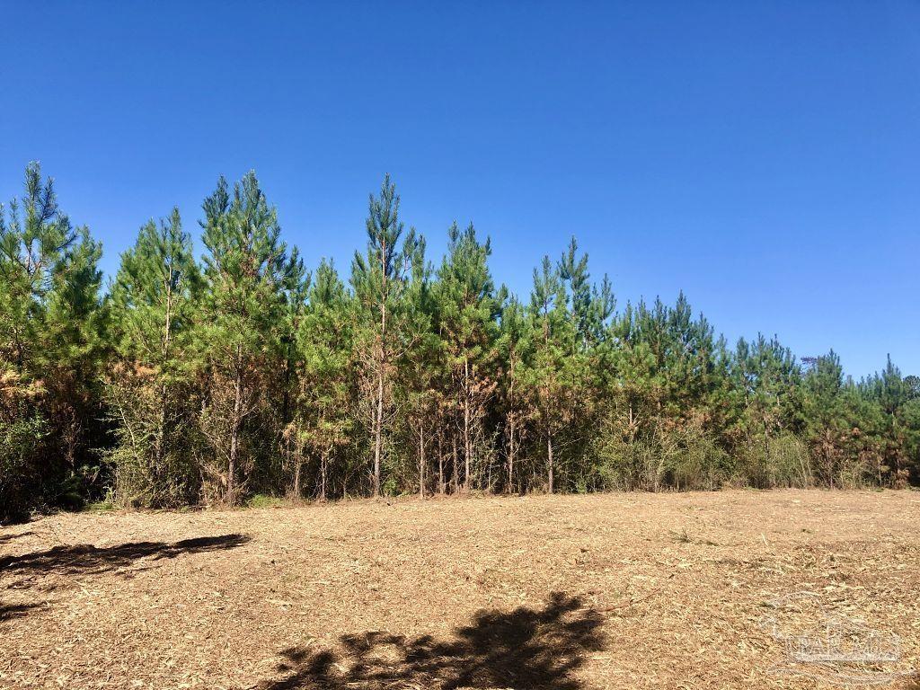 Lot 28-bs Buffalo Ridge Road Milton, FL 32571 - Photo 11 of 16