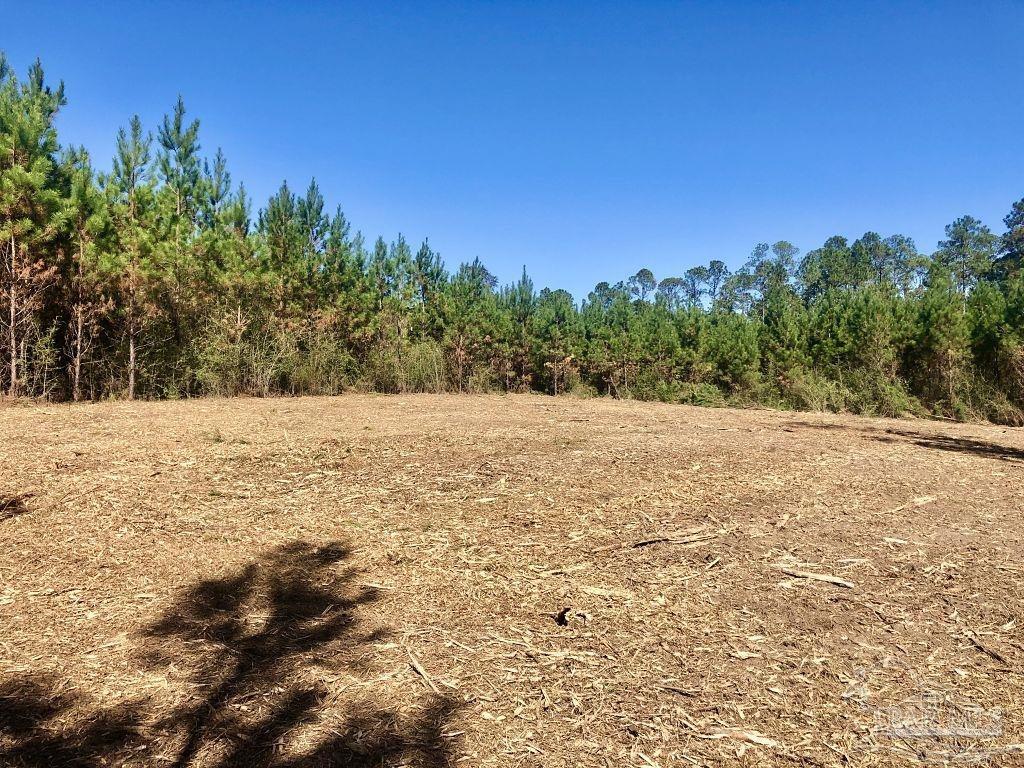 Lot 28-bs Buffalo Ridge Road Milton, FL 32571 - Photo 12 of 16