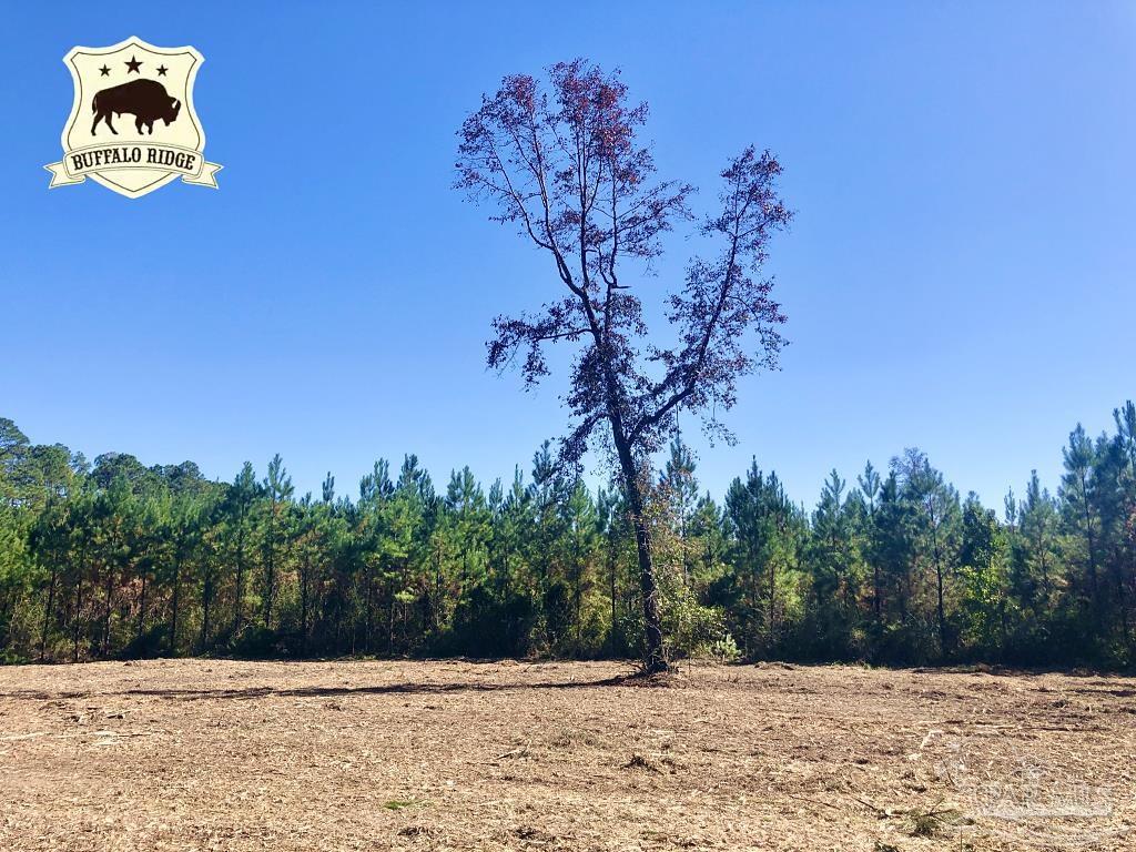 Lot 28-bs Buffalo Ridge Road Milton, FL 32571 - Photo 2 of 16
