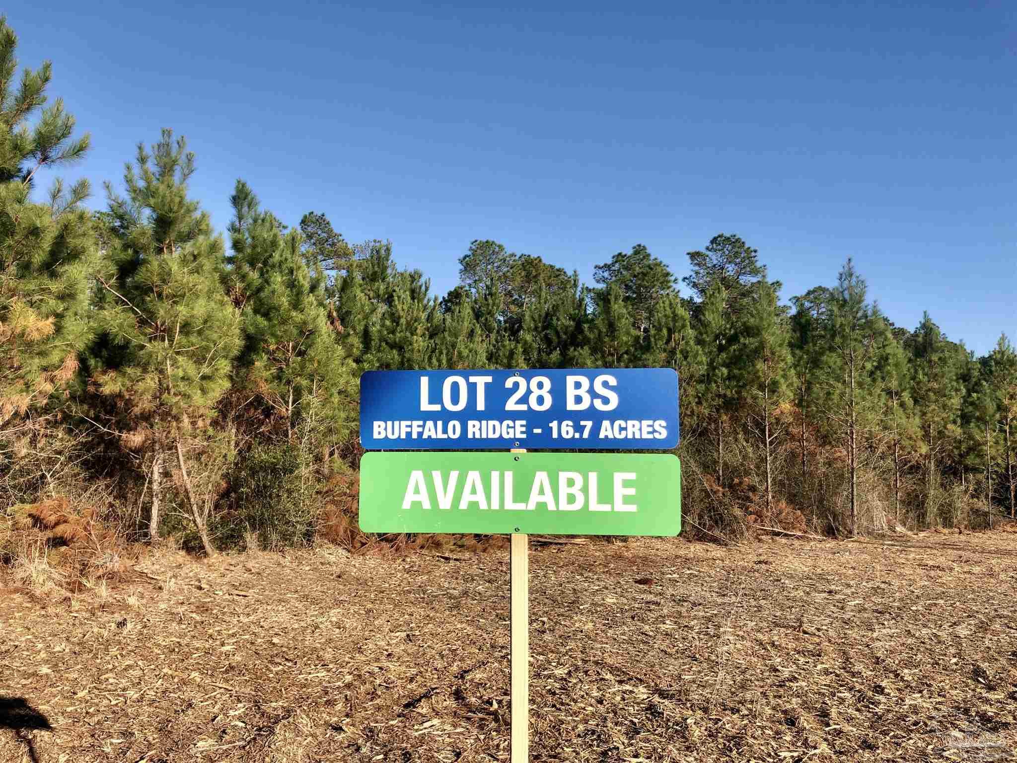Lot 28-bs Buffalo Ridge Road Milton, FL 32571 - Photo 3 of 16