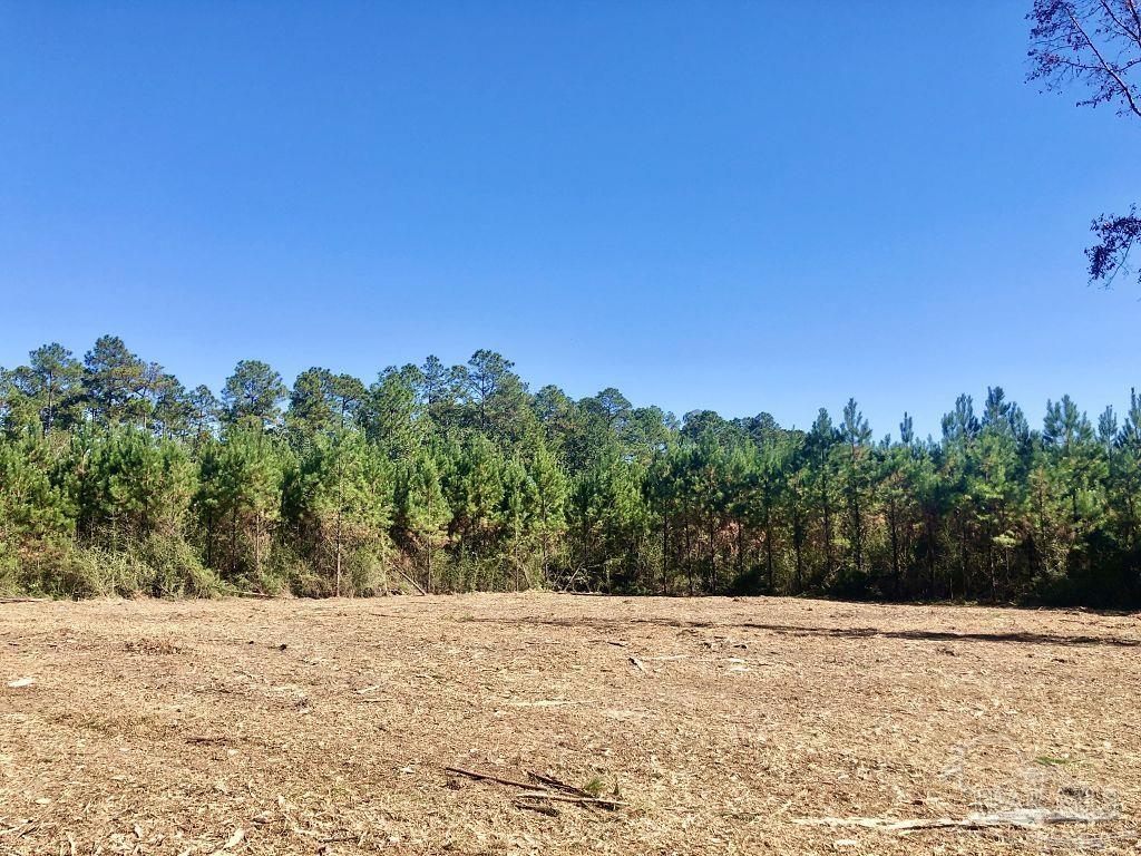 Lot 28-bs Buffalo Ridge Road Milton, FL 32571 - Photo 7 of 16