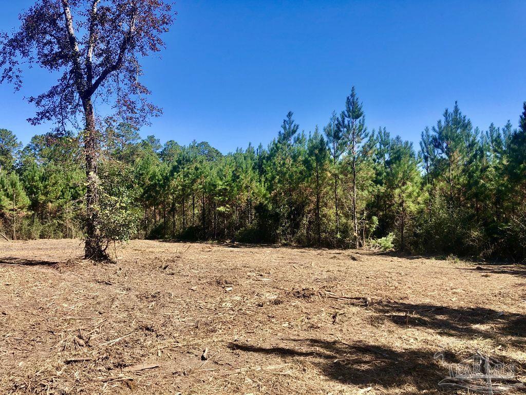Lot 28-bs Buffalo Ridge Road Milton, FL 32571 - Photo 8 of 16