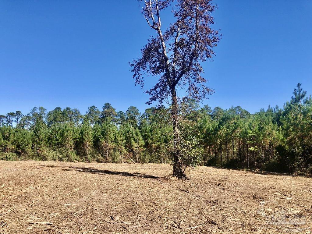 Lot 28-bs Buffalo Ridge Road Milton, FL 32571 - Photo 9 of 16