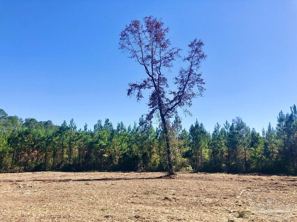 Lot 28-bs Buffalo Ridge Road Milton, FL 32571 - Photo 10 of 16