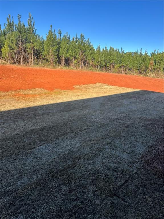 5207 Lee Road Salem, AL 36874 - Photo 20 of 23 View of yard