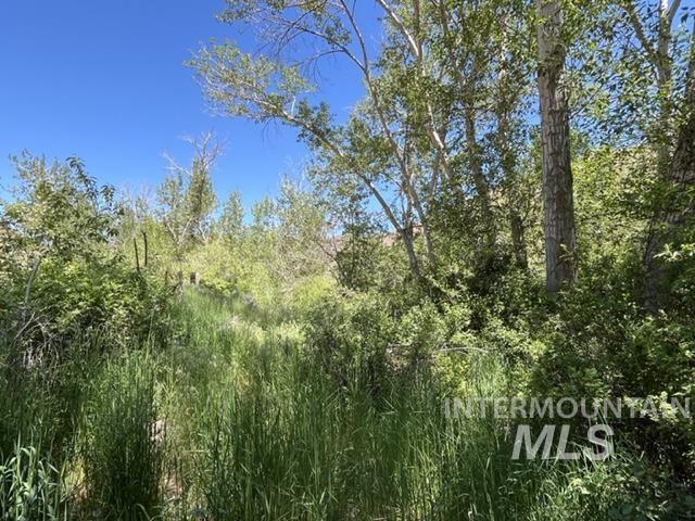 Tbd Northeast Syrup Creek Road Mountain Home, ID 83647 - Photo 11 of 30