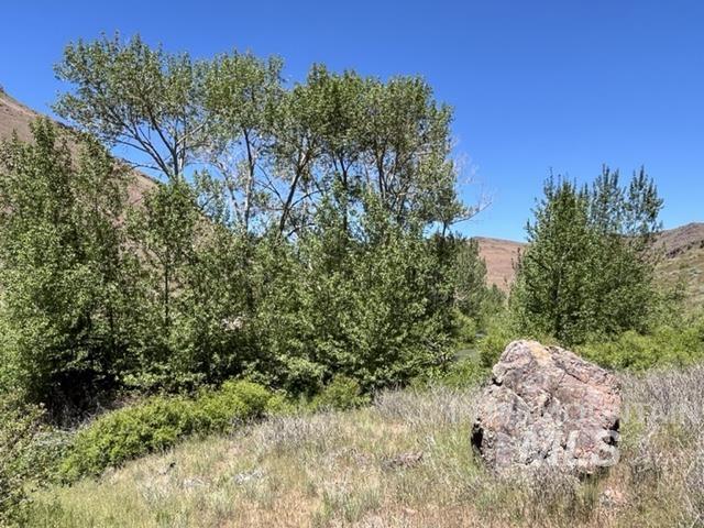 Tbd Northeast Syrup Creek Road Mountain Home, ID 83647 - Photo 14 of 30