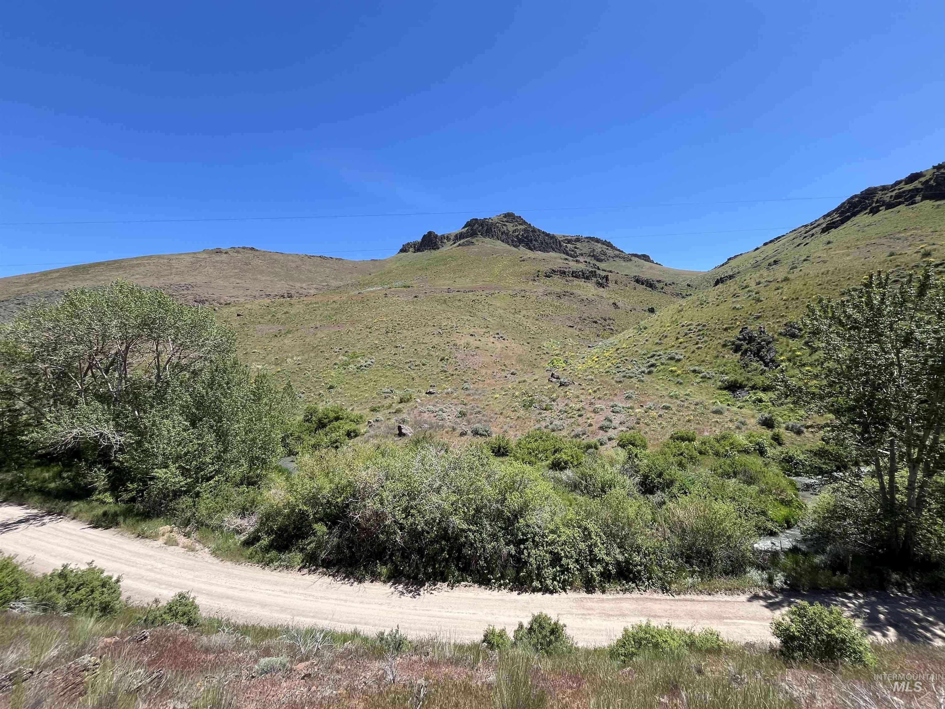 Tbd Northeast Syrup Creek Road Mountain Home, ID 83647 - Photo 2 of 30