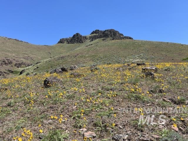 Tbd Northeast Syrup Creek Road Mountain Home, ID 83647 - Photo 22 of 30