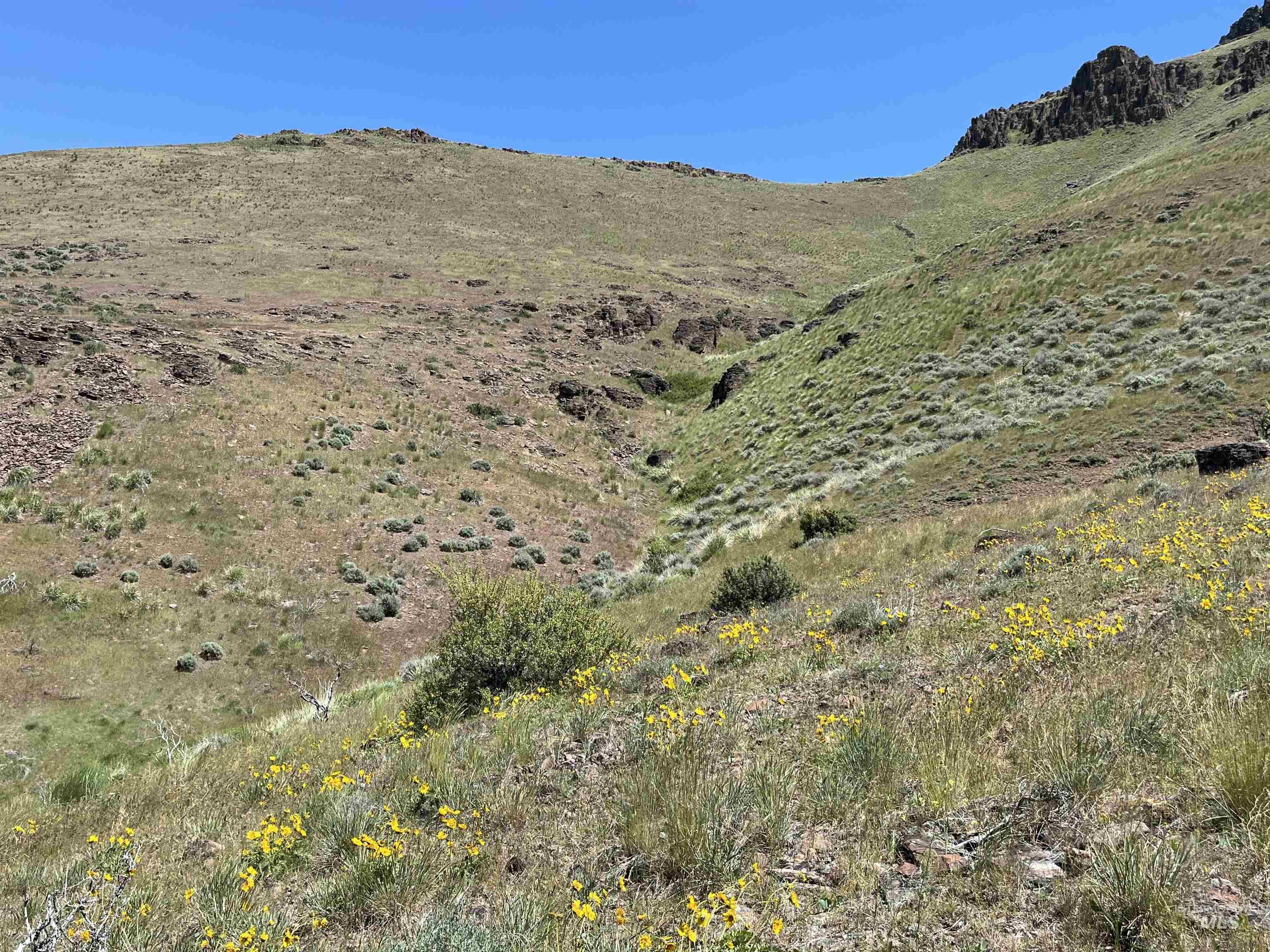 Tbd Northeast Syrup Creek Road Mountain Home, ID 83647 - Photo 23 of 30