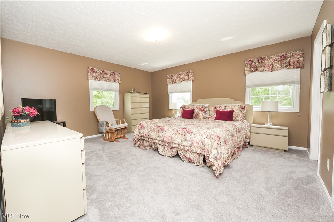 817 Rickel Circle Akron, OH 44333 - Photo 22 of 49 Bedroom featuring multiple windows, light colored carpet, and baseboards