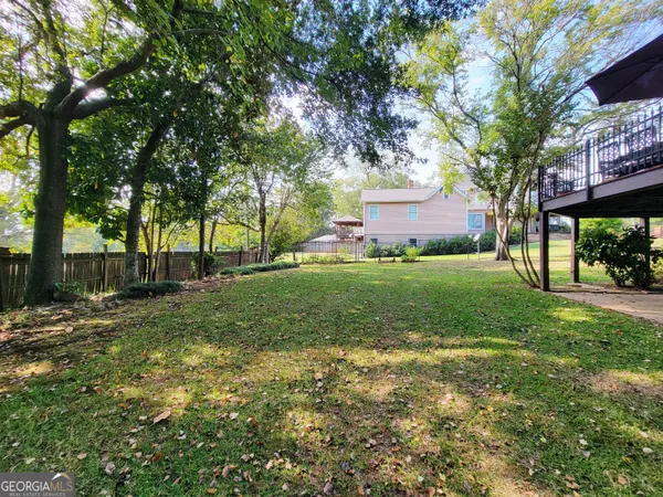 a view of a trees in a yard