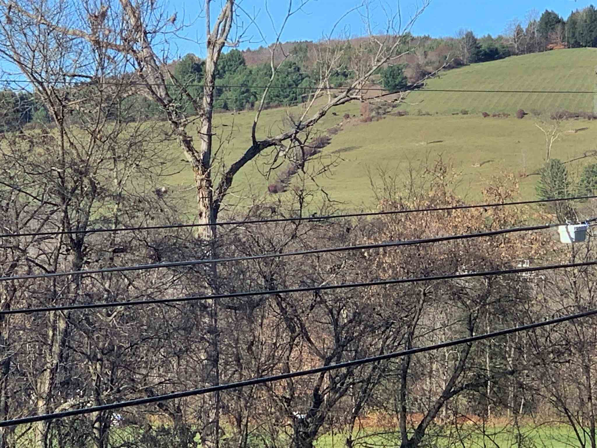 442 East Woodstock Road, Unit 4A Woodstock, VT 05091 - Photo 4 of 25