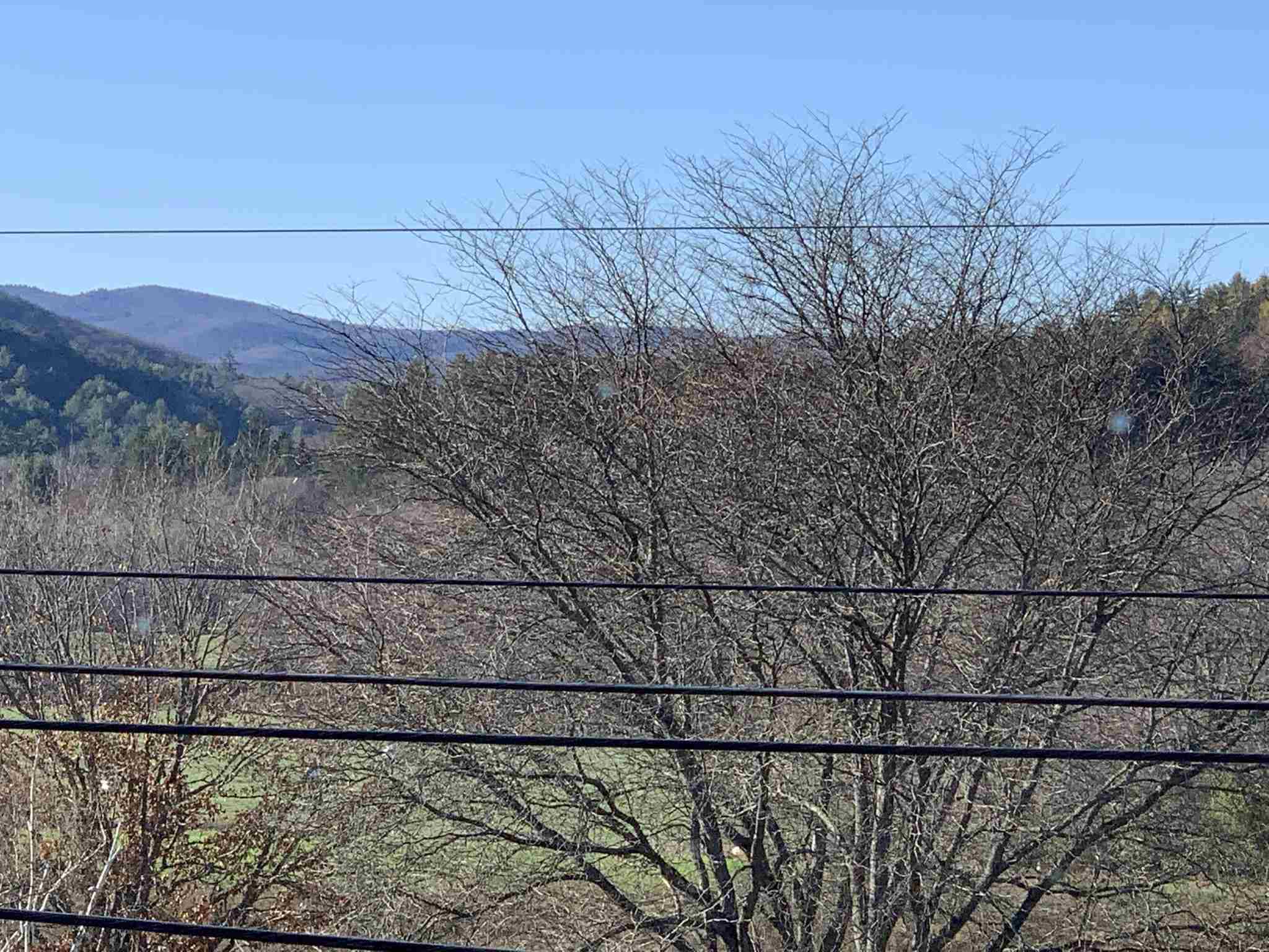 442 East Woodstock Road, Unit 4A Woodstock, VT 05091 - Photo 5 of 25