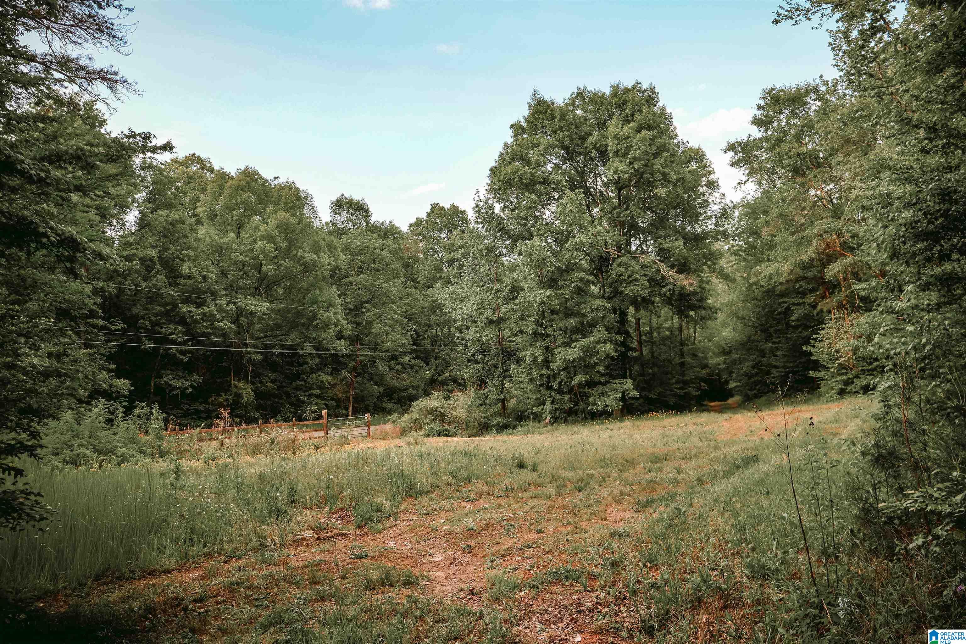 1678 Hays Cemetery Road Hayden, AL 35079 - Photo 67 of 87