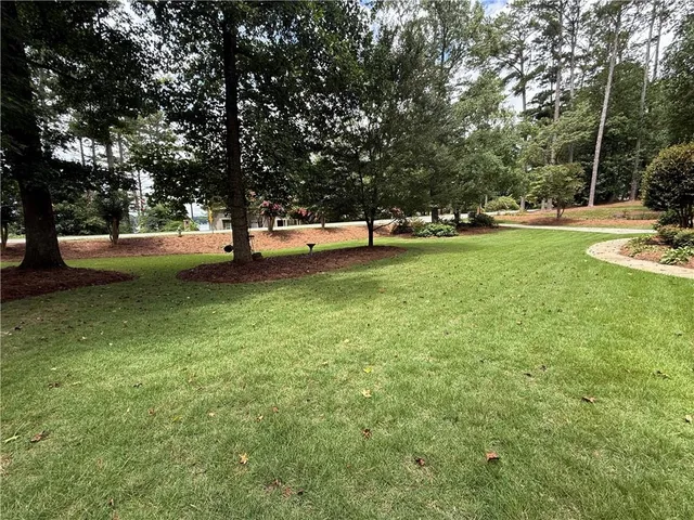 a view of a tree in a yard