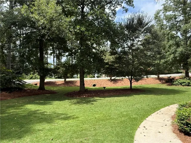 a view of a trees in a yard