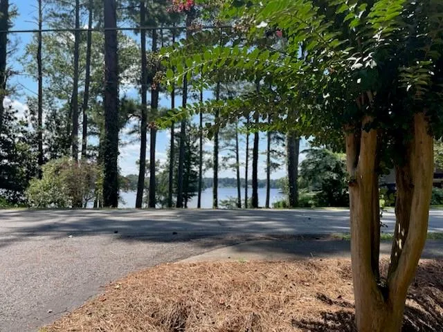 a view of a park with large trees