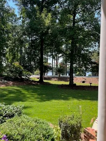 a view of a park with large trees
