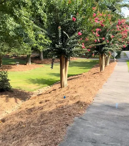 a front view of a house with a yard and a large tree