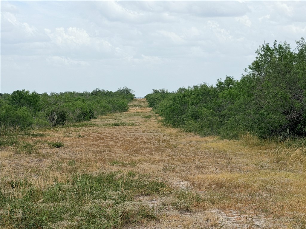 242 Cinco Millas Road Jourdanton, TX 78026 - Photo 33 of 35 Gallery Image 33