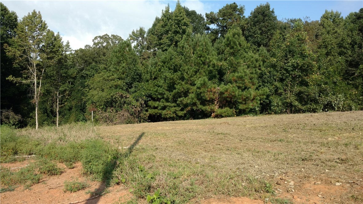 P10 County Road 129 Ranburne, AL 36273 - Photo 1 of 3 Gallery Image 1
