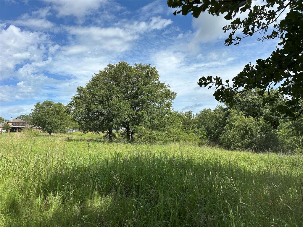 570 Big Salty Lane Springtown, TX 76082 - Photo 32 of 36 Expansive undeveloped lot featuring mature trees and natural grassland