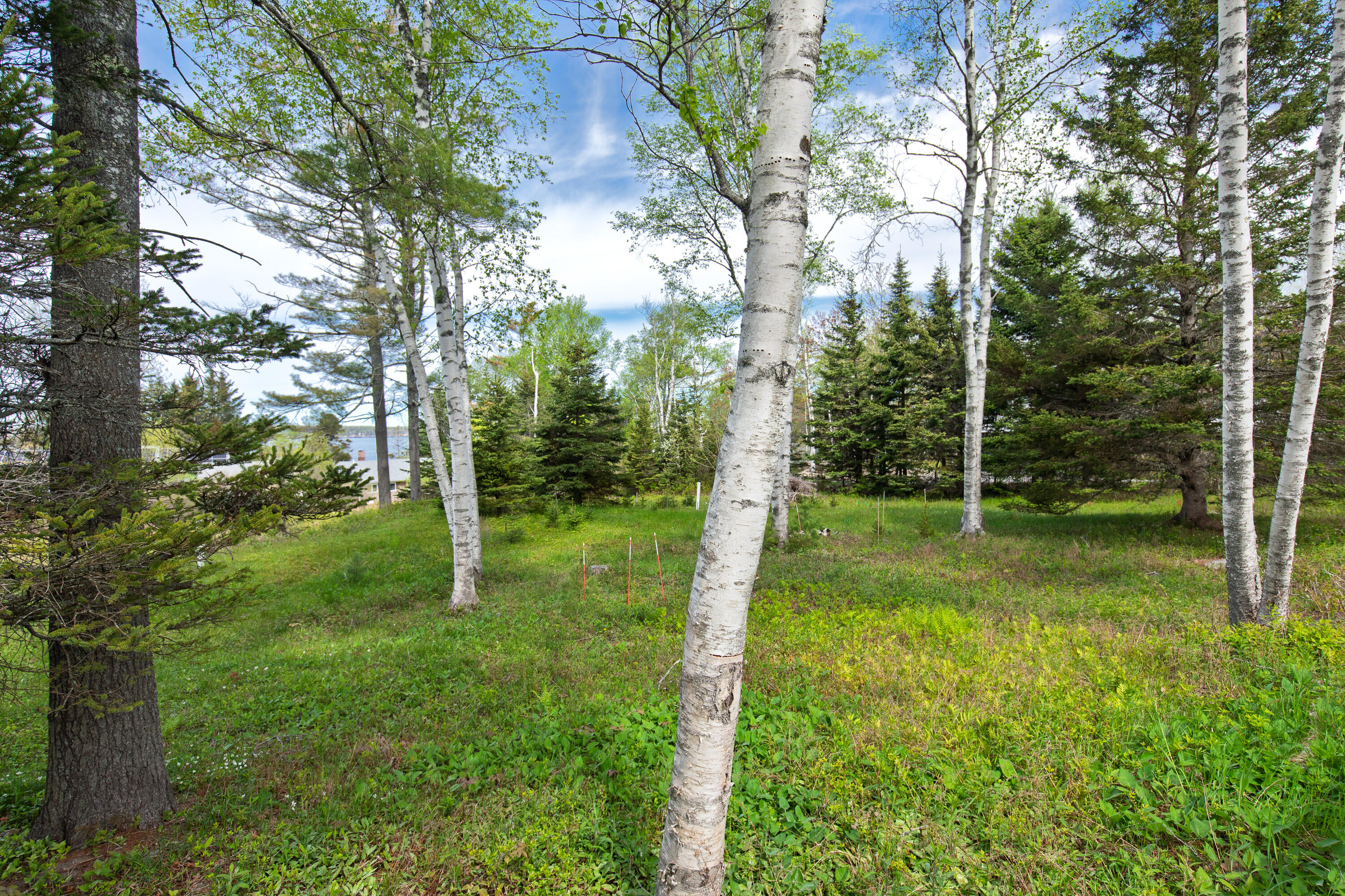 23 Massasoit Road Bristol, ME 04554 - Photo 29 of 32 17-2 Massasoit Rd, New Harbor-AT